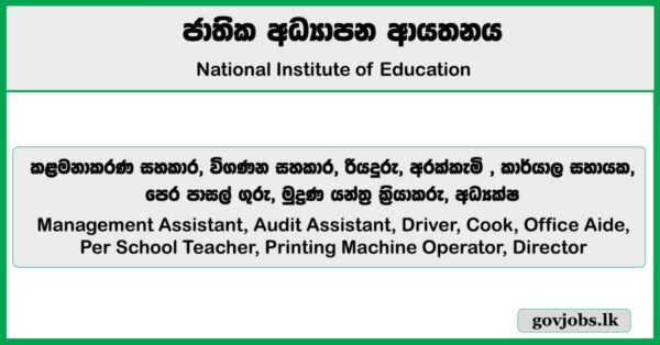 Director (English Language) - National Institute of Education Job Vacancies 2025
