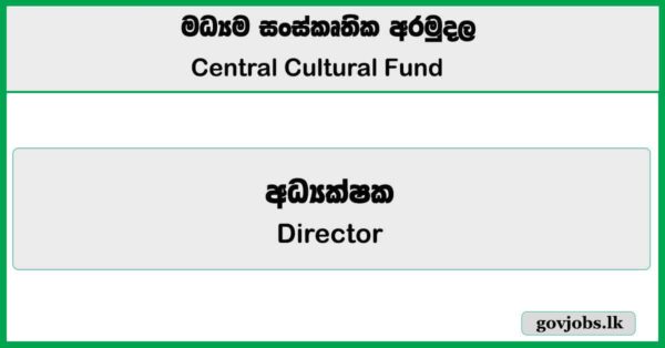Director (Finance) - Central Cultural Fund Job Vacancies 2025