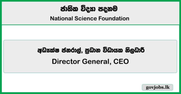 Director General, CEO – National Science Foundation Job Vacancies 2025