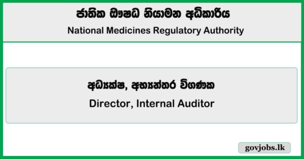 Director, Internal Auditor - National Medicines Regulatory Authority Job Vacancies 2025
