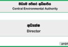 Director (Legal) - Central Environmental Authority Job Vacancies 2025