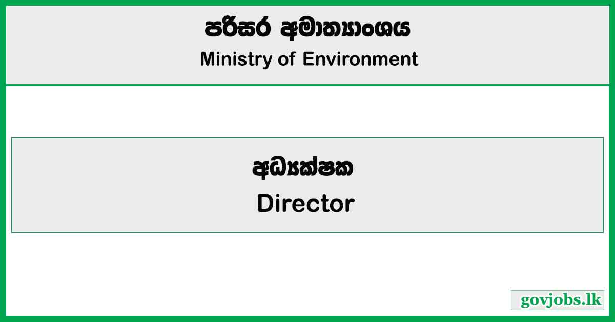 Director - Ministry of Environment Job Vacancies 2025