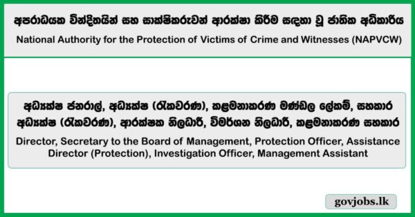 Director, Secretary to the Board of Management, Protection Officer - National Authority for the Protection of Victims of Crime and Witnesses Job Vacancies 2025