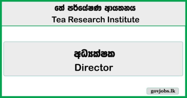 Director - Tea Research Institute Job Vacancies 2026