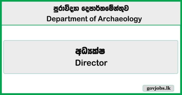 Director – Department of Archaeology Job Vacancies 2025