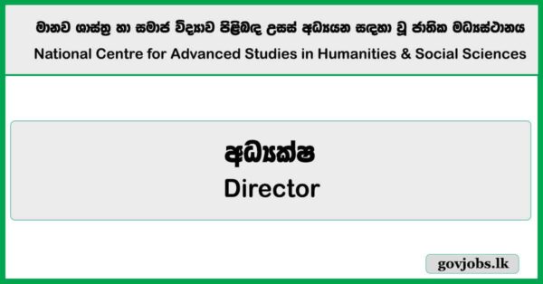 Director – National Centre for Advanced Studies in Humanities & Social Sciences (NCAS) Job Vacancies 2025