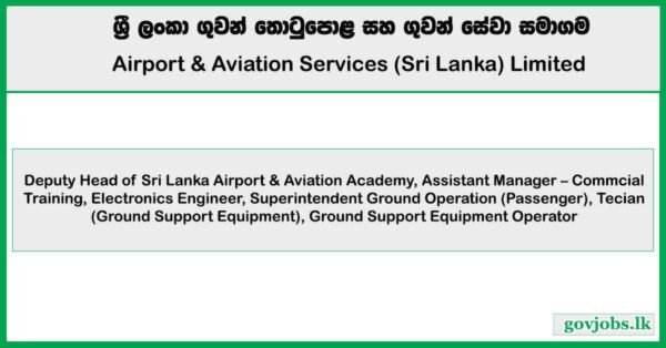 Electronics Engineer, Technician & More Vacancies - Airport and Aviation Services Private Limited Job Vacancies 2025