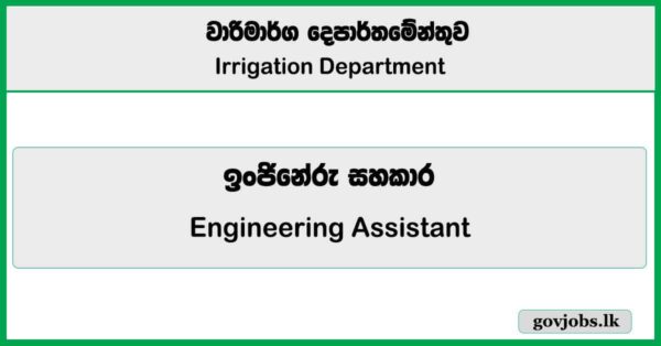 Engineering Assistant (Open Exam)  – Irrigation Department Job Vacancies 2025