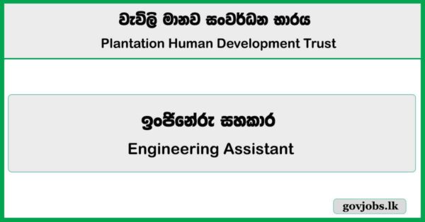 Engineering Assistant - Plantation Human Development Trust 2025 Job Vacancies