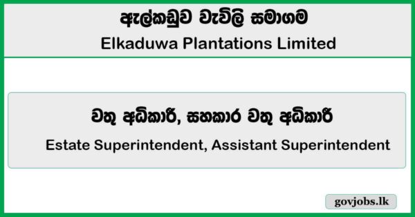 Estate Superintendent, Assistant Superintendent – Elkaduwa Plantations Limited Job Vacancies 2026