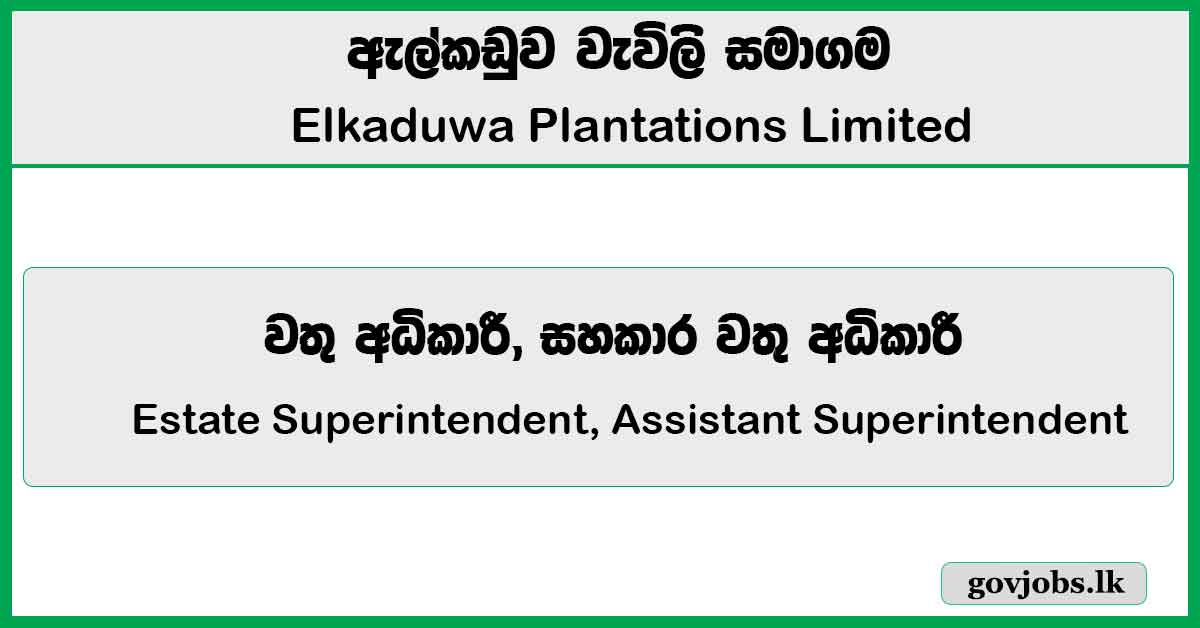 Estate Superintendent, Assistant Superintendent – Elkaduwa Plantations Limited Job Vacancies 2026
