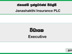 Executive - Finance (Management Accounting) - Janashakthi Insurance PLC Job Vacancies 2025