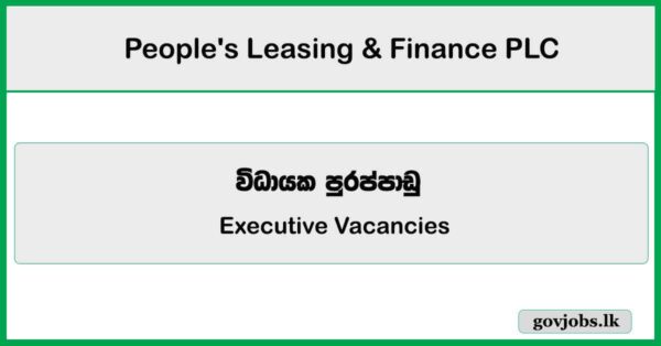 Executive - IT Risk Management - People's Leasing & Finance PLC Job Vacancies 2025