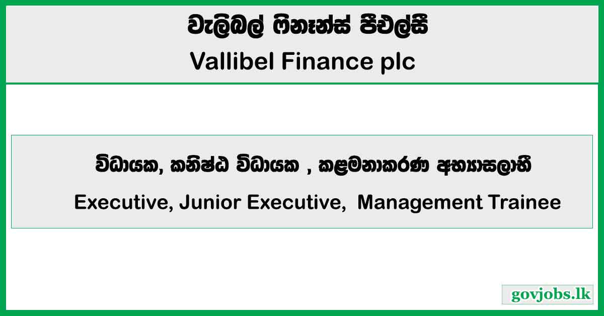 Executive, Junior Executive, Management Trainee (HR) - Vallibel Finance PLC Job Vacancies 2025