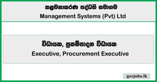 Executive, Procurement Executive - Management Systems (Pvt) Ltd Job Vacancies 2025