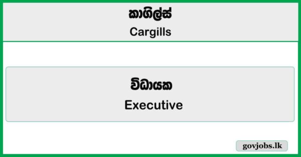 Executive - Production - Cargills Job Vacancies 2026
