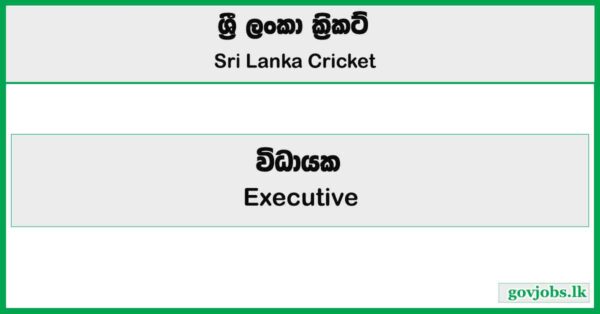 Executive - Sri Lanka Cricket Job Vacancies 2025