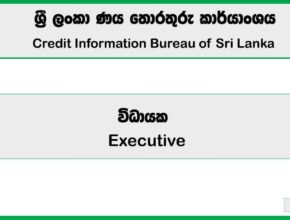 Executive – Credit Information Bureau of Sri Lanka 2025 Job Vacancies