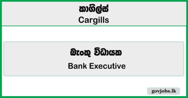 Executive – IT (Payments & Cards Support) – Cargills Bank Job Vacancies 2026