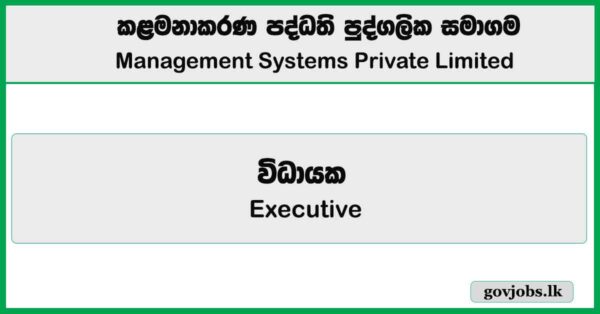 Executive – Management Systems Private Limited Job Vacancies 2025