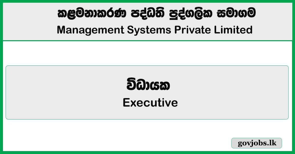 Executive – Management Systems Private Limited Job Vacancies 2025