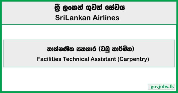 Facilities Technical Assistant (Carpentry) – Sri Lankan Catering Job Vacancies 2025
