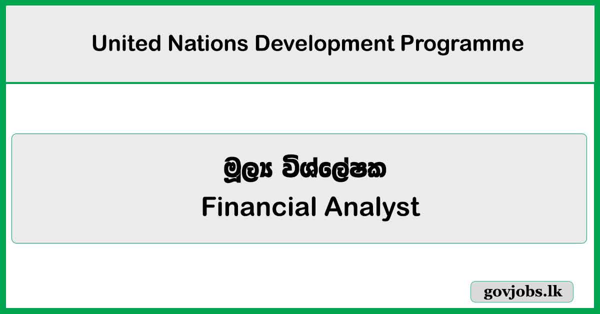 Financial Analyst - United Nations Development Programme Job Vacancies 2025