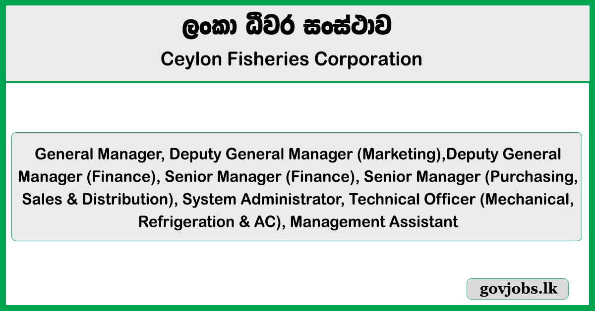 General Manager, Deputy General Manager, Senior Manager, System Administrator, Technical Officer, Management Assistant - Ceylon Fisheries Corporation Job Vacancies 2025