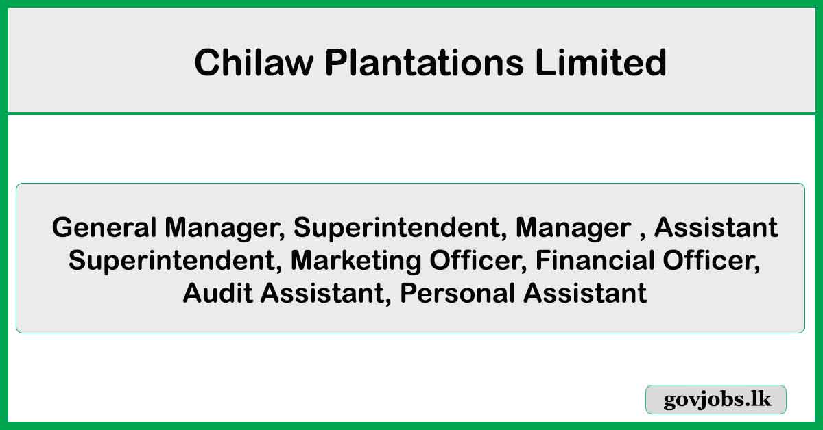 General Manager, Superintendent, Manager , Assistant Superintendent - Chilaw Plantations Limited Job Vacancies 2025