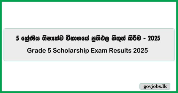 Grade 5 Scholarship Exam Results Release Date - Exam Department