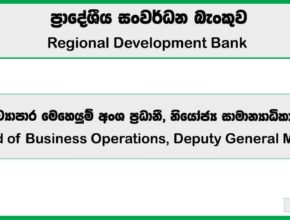 Head of Business Operations, Deputy General Manager - Regional Development Bank Job Vacancies 2025