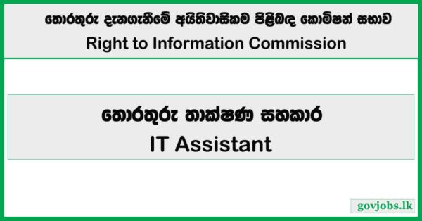IT Assistant - Right to Information Commission 2026 Job Vacancies