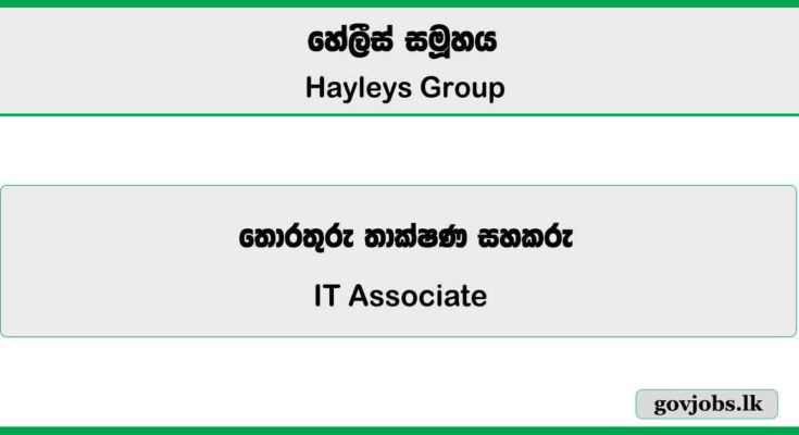 IT Associate - Hayleys Group Vacancies 2025