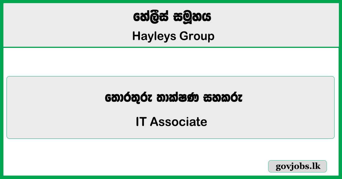 IT Associate - Hayleys Group Vacancies 2025