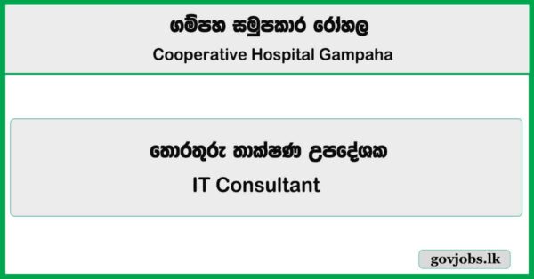 IT Consultant – Cooperative Hospital Gampaha Job Vacancies 2025 ...