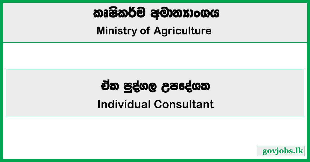 Individual Consultant - Ministry of Agriculture Job Vacancies 2024