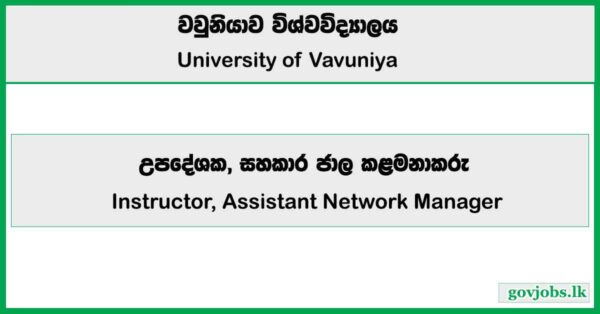 Instructor, Assistant Network Manager - University of Vavuniya Job Vacancies 2025