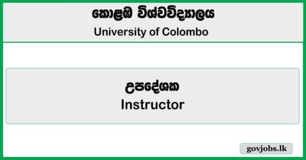 Instructor - University of Colombo Job Vacancies 2025