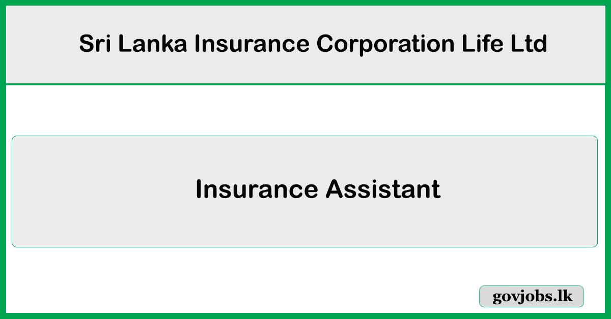 Insurance Assistant - Loan Handling - Sri Lanka Insurance Corporation Life Ltd 2025 Vacancies