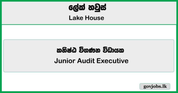 Junior Audit Executive – Lake House Job Vacancies 2025