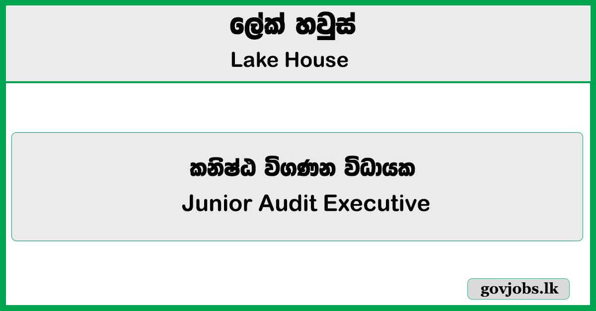 Junior Audit Executive – Lake House Job Vacancies 2025