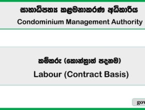 Labour (Contract Basis) - Condominium Management Authority 2026 Job Vacancies