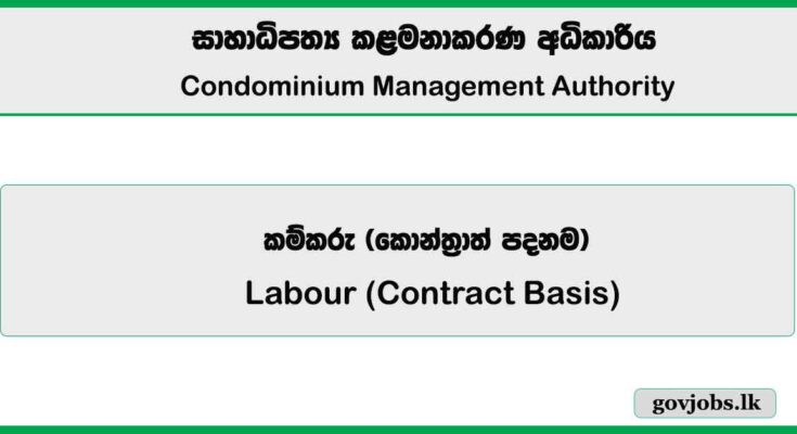 Labour (Contract Basis) - Condominium Management Authority 2026 Job Vacancies