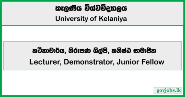 Lecturer, Demonstrator, Junior Fellow - University of Kelaniya Job Vacancies 2025