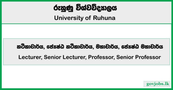 Lecturer, Senior Lecturer, Professor, Senior Professor - University of Ruhuna Job Vacancies 2025