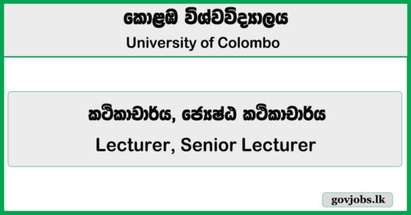 Lecturer, Senior Lecturer - University of Colombo 2026 Job Vacancies
