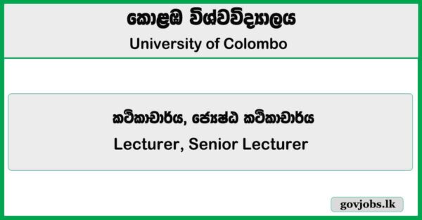 Lecturer, Senior Lecturer - University of Colombo Job Vacancies 2025