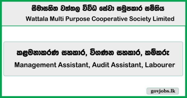 Management Assistant, Audit Assistant, Labourer – Wattala Multi Purpose Cooperative Society Limited Job Vacancies 2025