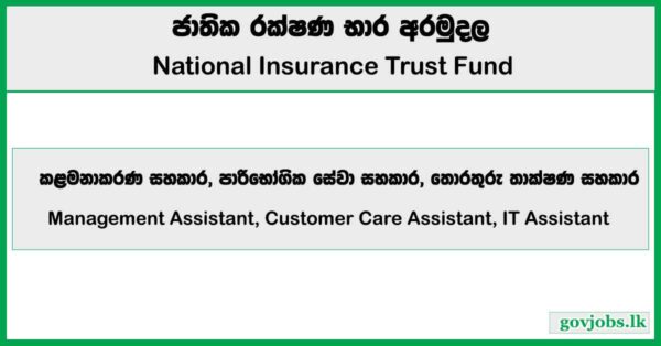 Management Assistant, Customer Care Assistant, IT Assistant - National Insurance Trust Fund (NITF) Job Vacancies 2026