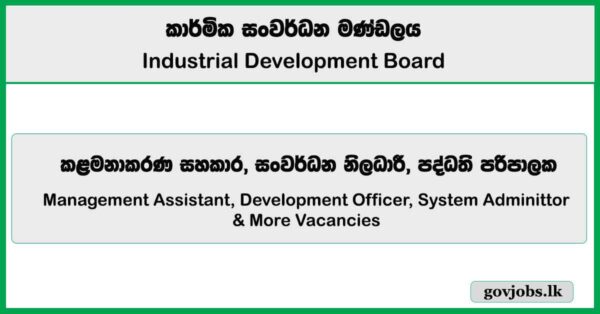 Management Assistant, Development Officer, System Administrator – Industrial Development Board Job Vacancies 2025